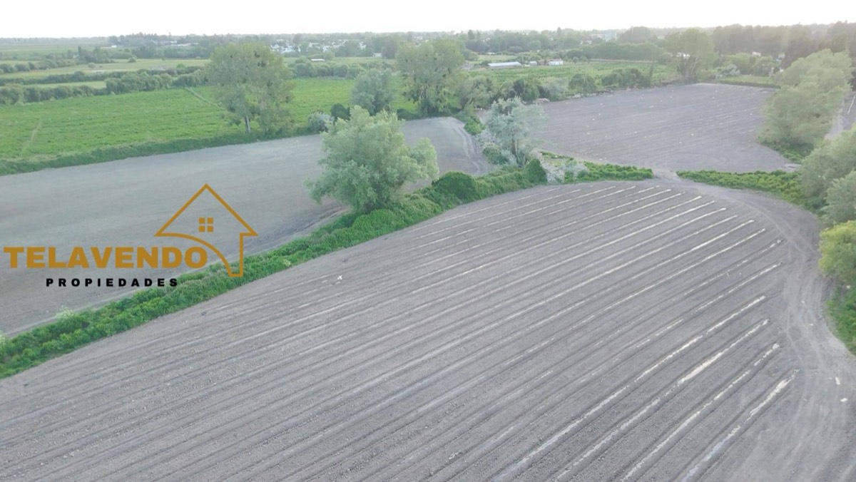 Terreno agrícola en venta en Longaví
